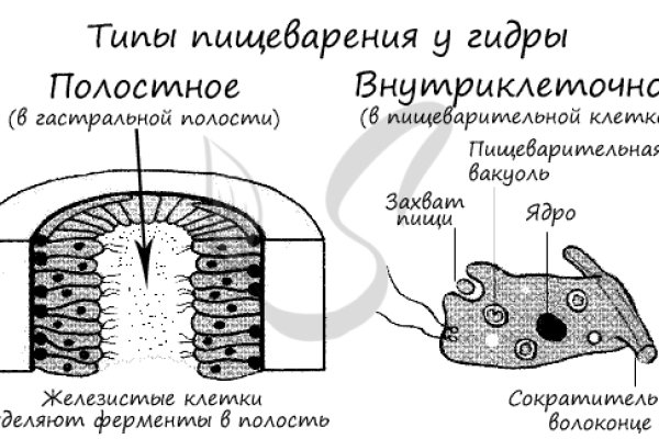 Кракен маркетплейс что это