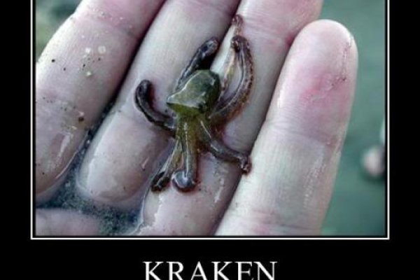 Kraken ссылка tor